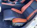 2013 Lexus LS