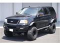 2003 Ford Expedition