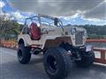 1990 Mitsubishi Jeep