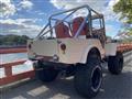 1990 Mitsubishi Jeep