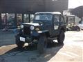 1993 Mitsubishi Jeep