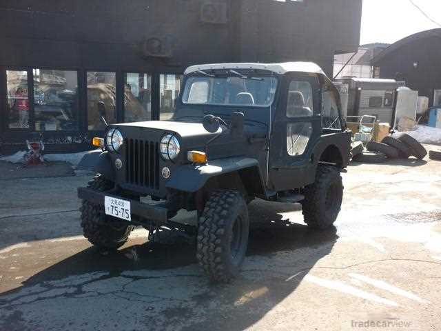 1993 Mitsubishi Jeep