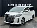 2020 Toyota Alphard G