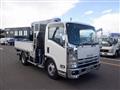 2010 Isuzu Isuzu Others