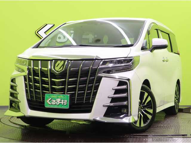 2019 Toyota Alphard G