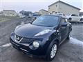 2011 Nissan Juke