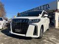 2022 Toyota Alphard G