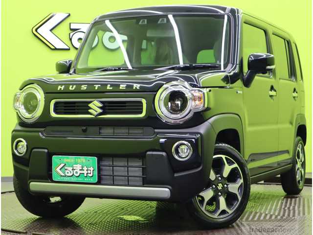 2024 Other All Other All