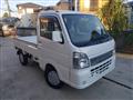 2019 Suzuki Carry Truck