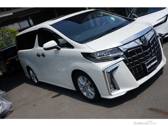 2019 Toyota Alphard G