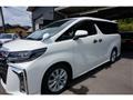2019 Toyota Alphard G