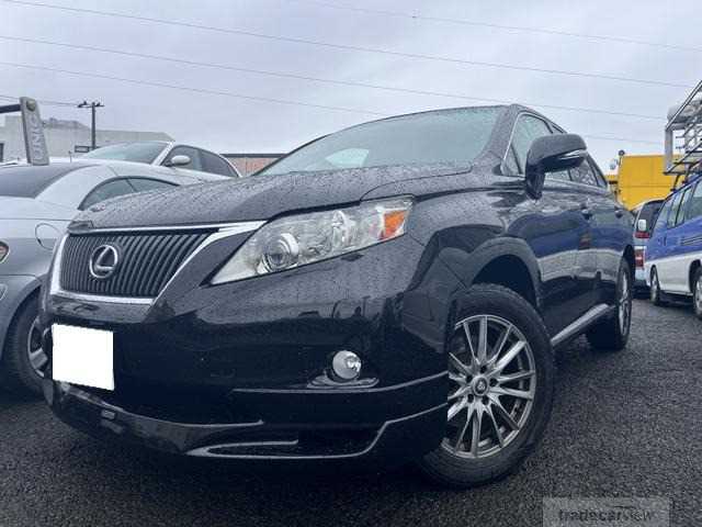 2010 Lexus RX
