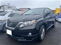 2010 Lexus RX