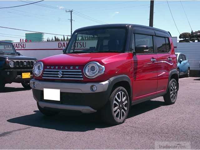 2019 Other All Other All