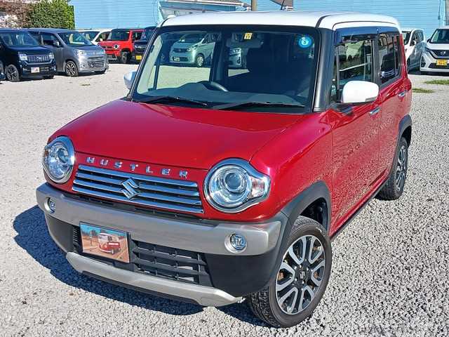 2019 Other All Other All