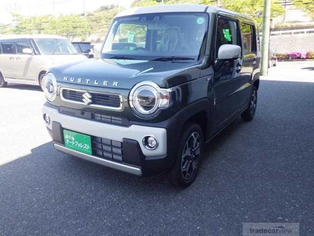 2024 Other All Other All