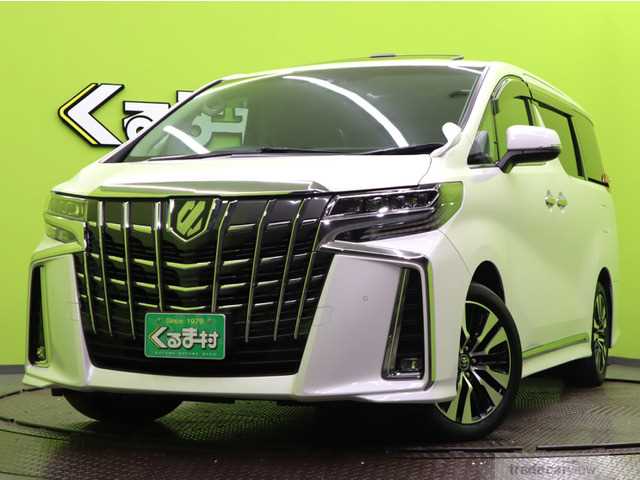 2019 Toyota Alphard G