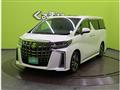 2019 Toyota Alphard G