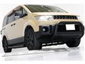 2010 Mitsubishi Delica D5