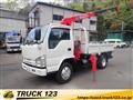 2008 Isuzu Isuzu Others