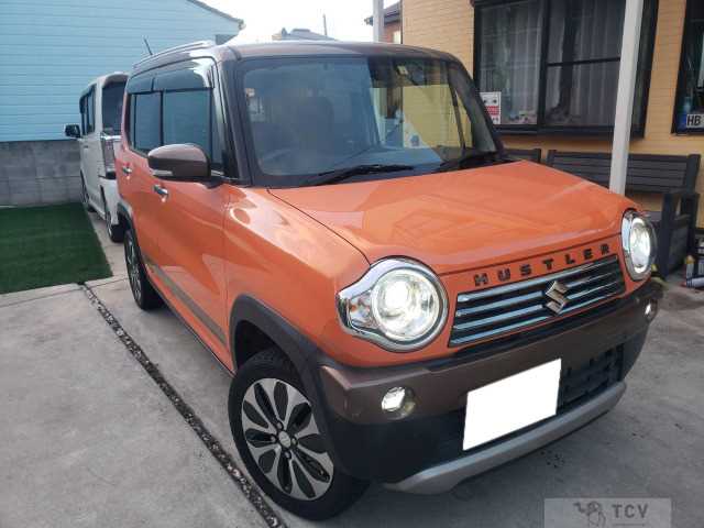 2018 Other All Other All