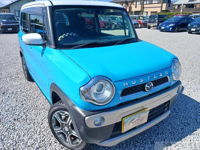 2018 Other All Other All