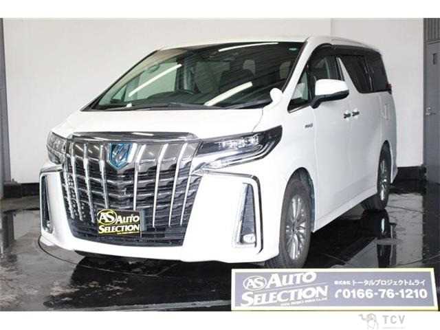 2019 Toyota Alphard G