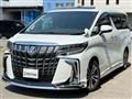 2022 Toyota Alphard G