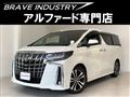 2019 Toyota Alphard G