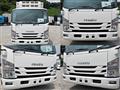 2016 Isuzu Isuzu Others
