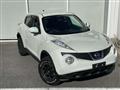 2010 Nissan Juke