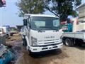 2010 Isuzu Isuzu Others