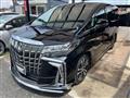 2018 Toyota Alphard G