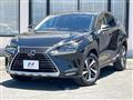2019 Lexus NX
