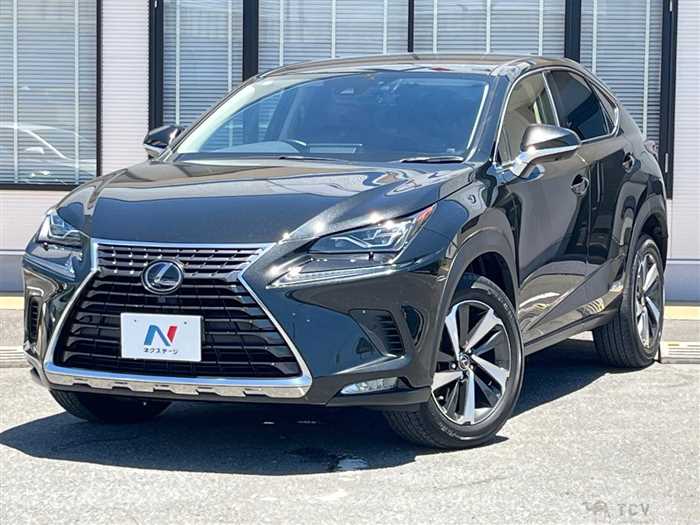 2019 Lexus NX