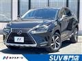 2019 Lexus NX