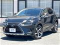 2019 Lexus NX