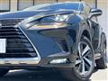 2019 Lexus NX