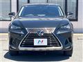 2019 Lexus NX