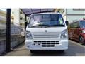 2019 Suzuki Carry Truck