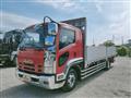 2009 Isuzu Isuzu Others
