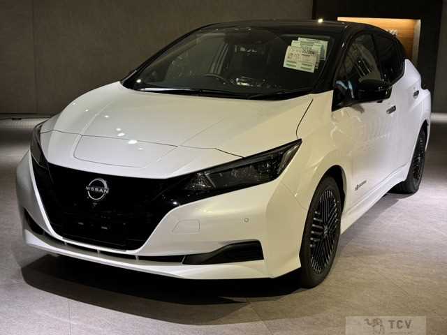 2025 Nissan Nissan Others