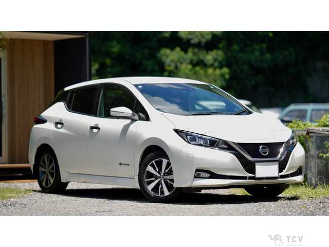 2019 Nissan Nissan Others