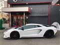 2019 Lamborghini Lamborghini Others