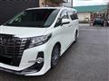 2017 Toyota Alphard G