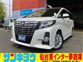 2016 Toyota Alphard G