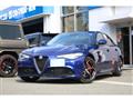 2021 Alfa Romeo Alfa Romeo Others
