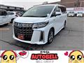 2019 Toyota Alphard G