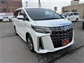 2019 Toyota Alphard G
