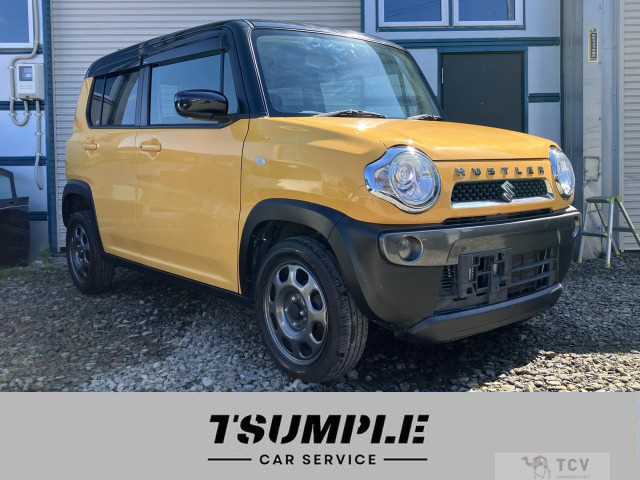 2019 Other All Other All